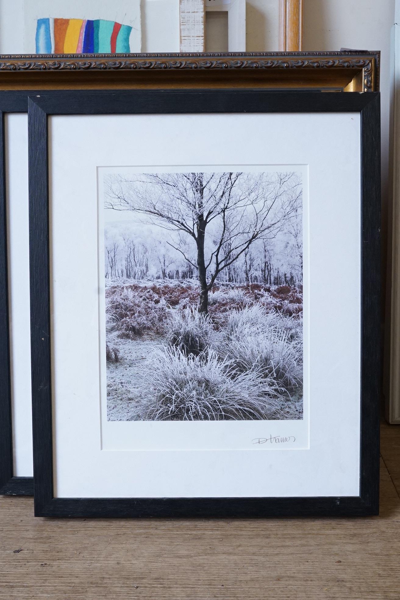 D. Thomas ?, Winter landscapes, set of four photographic prints, each signed in ink, three limited edition 2/30, 28 x 20cm
